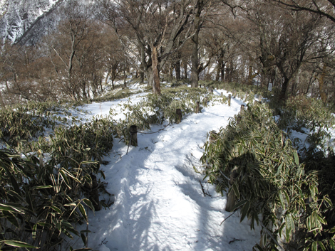 20170118hike (287)
